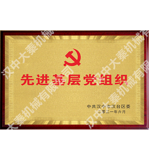 <b>先进基层党组织</b>