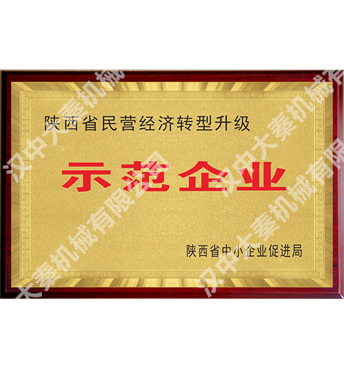 <b>经济转型示范企业</b>