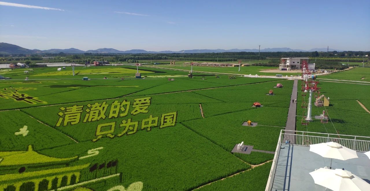 av成人app永久免费